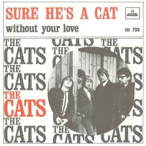 The Cats